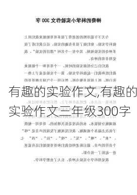 有趣的实验作文,有趣的实验作文三年级300字-第3张图片-安安范文网