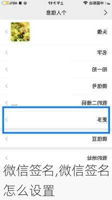 微信签名,微信签名怎么设置-第1张图片-安安范文网