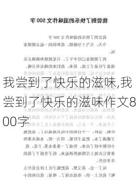 我尝到了快乐的滋味,我尝到了快乐的滋味作文800字