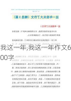 我这一年,我这一年作文600字-第2张图片-安安范文网