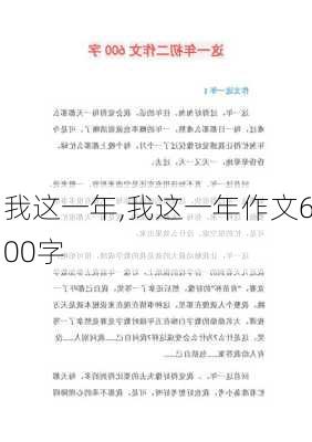 我这一年,我这一年作文600字-第3张图片-安安范文网