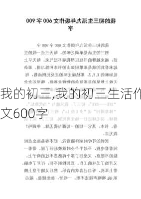 我的初三,我的初三生活作文600字