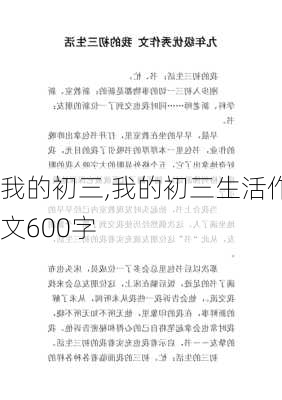 我的初三,我的初三生活作文600字-第2张图片-安安范文网