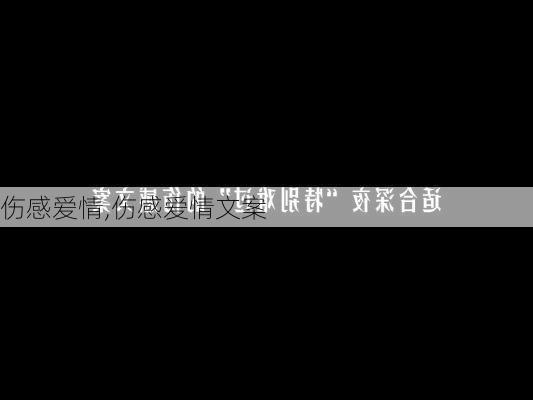 伤感爱情,伤感爱情文案-第3张图片-安安范文网