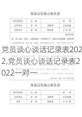 党员谈心谈话记录表2022,党员谈心谈话记录表2022一对一