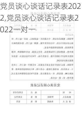 党员谈心谈话记录表2022,党员谈心谈话记录表2022一对一