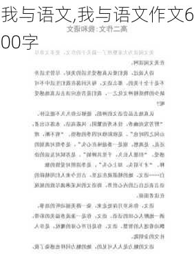 我与语文,我与语文作文600字-第2张图片-安安范文网