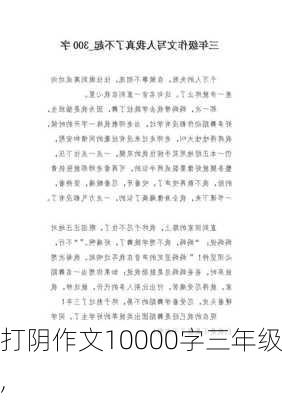 打阴作文10000字三年级,-第3张图片-安安范文网