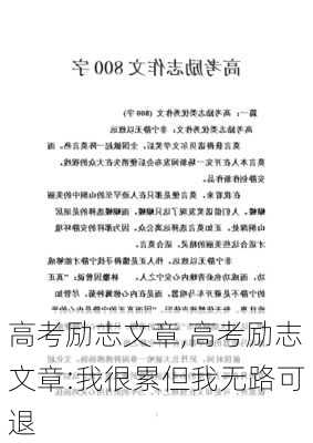 高考励志文章,高考励志文章:我很累但我无路可退-第2张图片-安安范文网