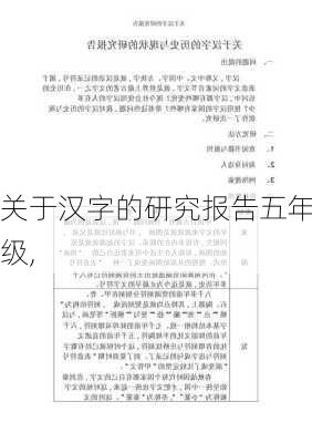 关于汉字的研究报告五年级,