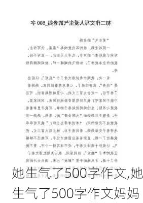 她生气了500字作文,她生气了500字作文妈妈-第3张图片-安安范文网