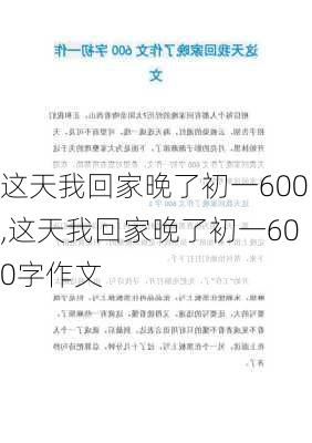 这天我回家晚了初一600,这天我回家晚了初一600字作文-第1张图片-安安范文网