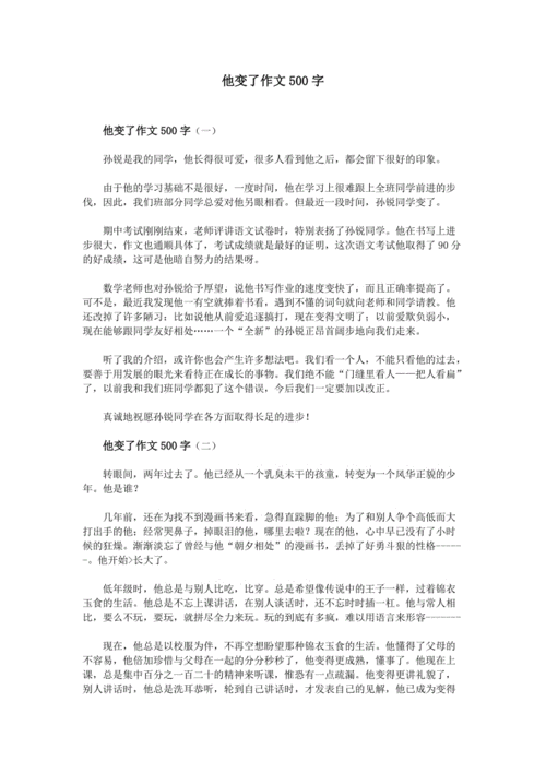 他什么了作文500字,他什么了作文500字优秀作文