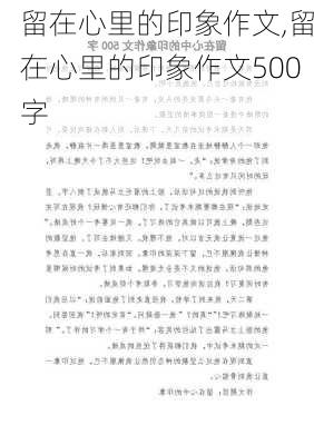 留在心里的印象作文,留在心里的印象作文500字-第3张图片-安安范文网