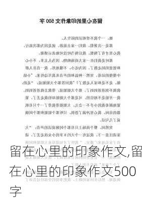 留在心里的印象作文,留在心里的印象作文500字-第2张图片-安安范文网