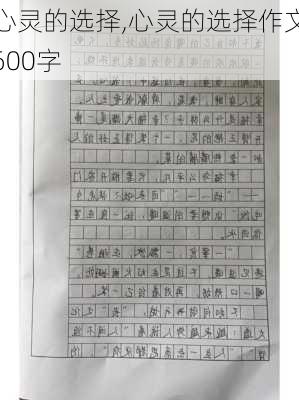 心灵的选择,心灵的选择作文600字