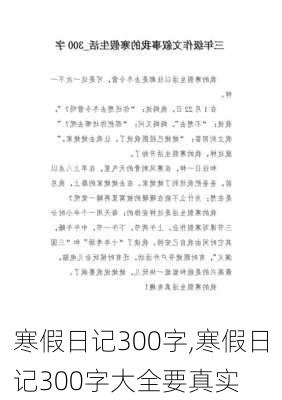 寒假日记300字,寒假日记300字大全要真实-第3张图片-安安范文网