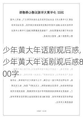 少年黄大年话剧观后感,少年黄大年话剧观后感800字-第3张图片-安安范文网