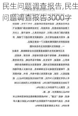 民生问题调查报告,民生问题调查报告3000字-第2张图片-安安范文网