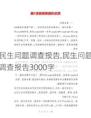 民生问题调查报告,民生问题调查报告3000字-第3张图片-安安范文网