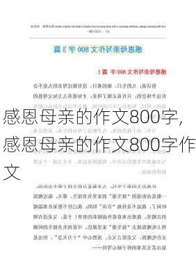 感恩母亲的作文800字,感恩母亲的作文800字作文