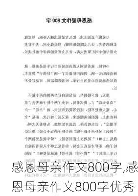 感恩母亲作文800字,感恩母亲作文800字优秀-第3张图片-安安范文网