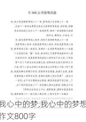 我心中的梦,我心中的梦想作文800字