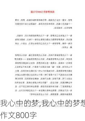 我心中的梦,我心中的梦想作文800字-第2张图片-安安范文网