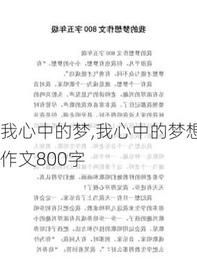 我心中的梦,我心中的梦想作文800字-第3张图片-安安范文网