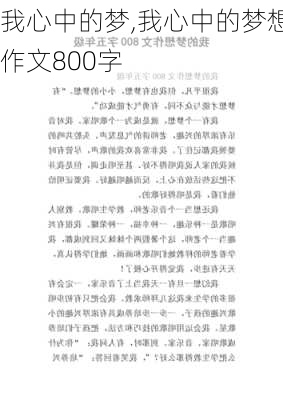 我心中的梦,我心中的梦想作文800字-第3张图片-安安范文网