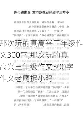 那次玩的真高兴三年级作文300字,那次玩的真高兴三年级作文300字作文老鹰捉小鸡-第2张图片-安安范文网