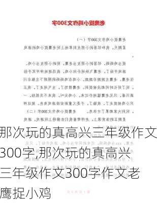 那次玩的真高兴三年级作文300字,那次玩的真高兴三年级作文300字作文老鹰捉小鸡-第3张图片-安安范文网