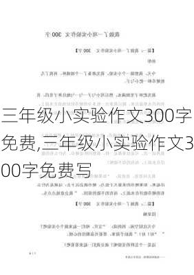 三年级小实验作文300字免费,三年级小实验作文300字免费写-第2张图片-安安范文网