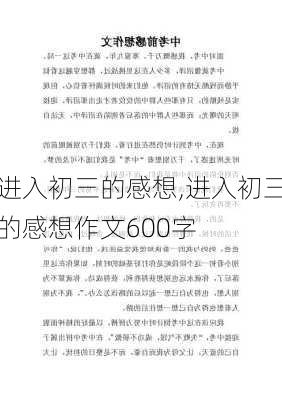 进入初三的感想,进入初三的感想作文600字-第3张图片-安安范文网