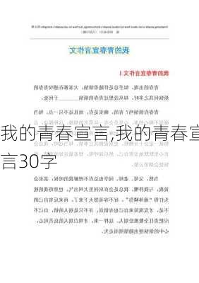 我的青春宣言,我的青春宣言30字-第1张图片-安安范文网