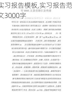 实习报告模板,实习报告范文3000字