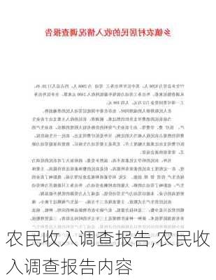 农民收入调查报告,农民收入调查报告内容-第2张图片-安安范文网