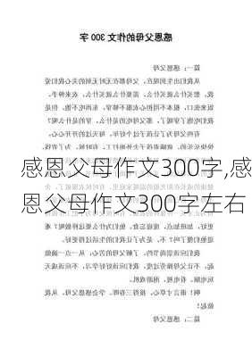 感恩父母作文300字,感恩父母作文300字左右