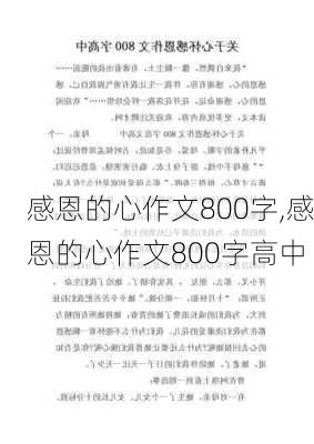 感恩的心作文800字,感恩的心作文800字高中-第1张图片-安安范文网