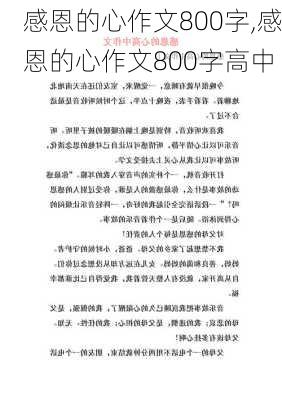 感恩的心作文800字,感恩的心作文800字高中-第2张图片-安安范文网