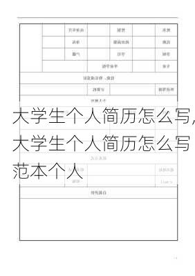 大学生个人简历怎么写,大学生个人简历怎么写 范本个人-第3张图片-安安范文网