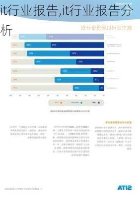 it行业报告,it行业报告分析-第2张图片-安安范文网