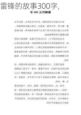 雷锋的故事300字,