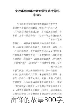 雷锋的故事300字,-第3张图片-安安范文网