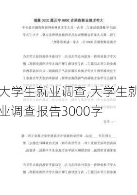 大学生就业调查,大学生就业调查报告3000字-第1张图片-安安范文网