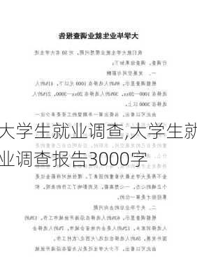 大学生就业调查,大学生就业调查报告3000字-第2张图片-安安范文网