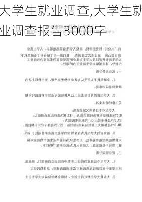 大学生就业调查,大学生就业调查报告3000字-第3张图片-安安范文网