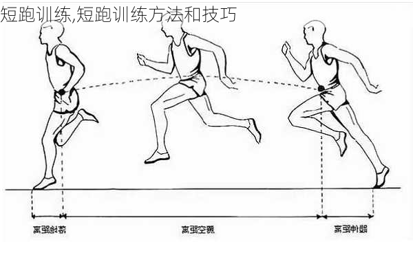 短跑训练,短跑训练方法和技巧-第3张图片-安安范文网