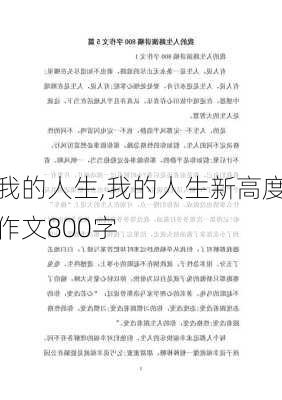 我的人生,我的人生新高度作文800字-第2张图片-安安范文网