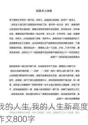 我的人生,我的人生新高度作文800字-第3张图片-安安范文网